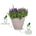 vibia campana rund 25cm honig gelb